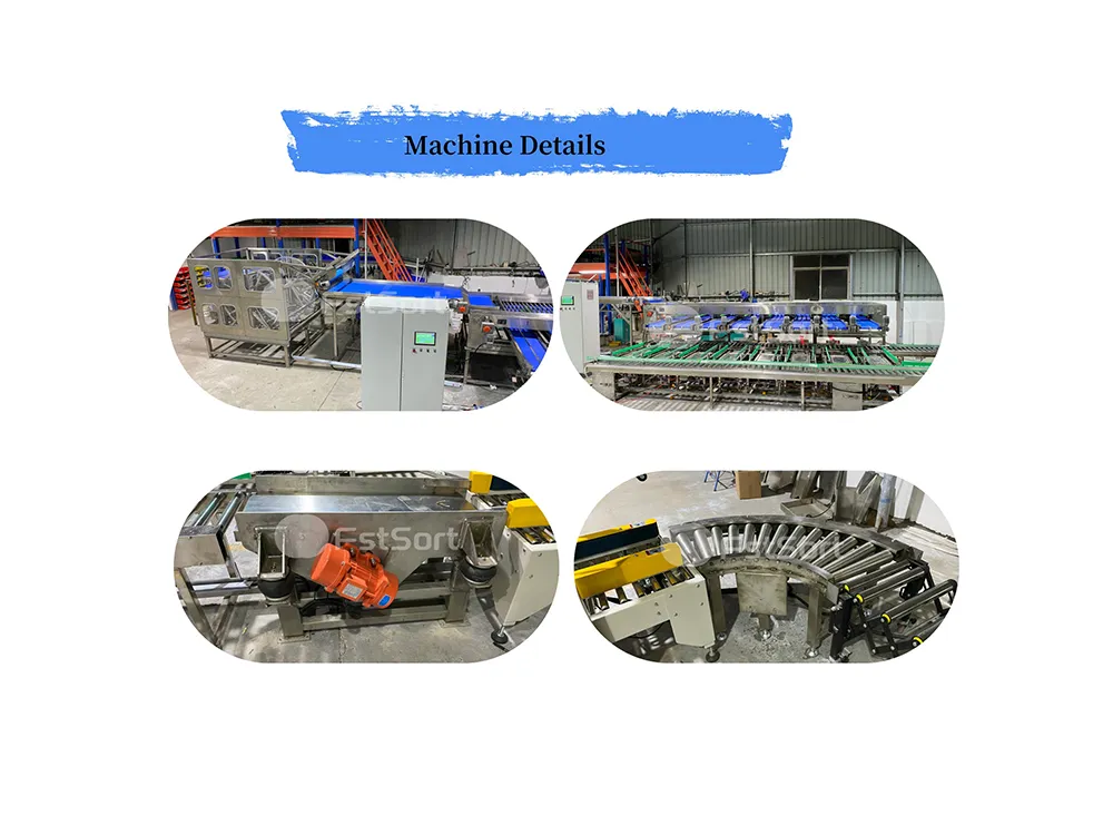 passion fruit machine details passion fruit machine details
